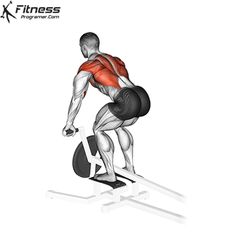 an image of a man doing squats on a barbell with the text x - fitness