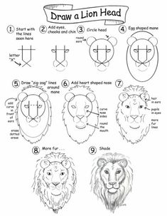 how to draw a lion's head with different facial shapes and colors for kids