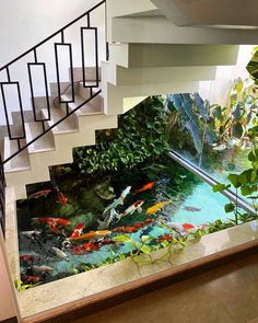 a fish pond in the middle of a stair case next to a staircase leading up to a second floor