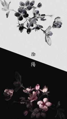 flowers are shown in black and white with chinese characters on the bottom right corner,