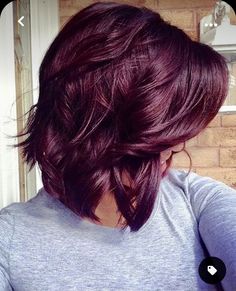 Pelo Color Borgoña, Dark Purple Hair Color, Purple Hair Color Ideas, Red Violet Hair, Purple Hair Color, Hair Color Plum, Dark Purple Hair, Plum Hair