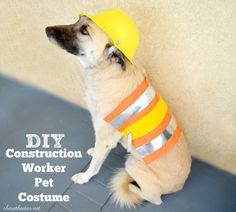 a dog wearing a construction hat and reflective vest sitting against a wall with the words diy construction worker pet costume