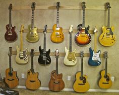 guitars are lined up on the wall for display