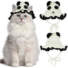 a white cat sitting next to two black and white hats