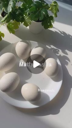 an image of eggs on a plate next to a potted plant