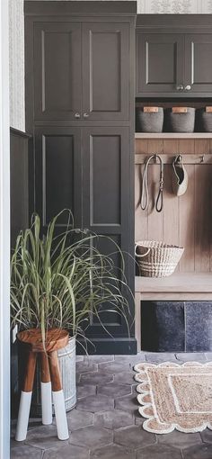 an entry way with a potted plant in the corner and other items on shelves