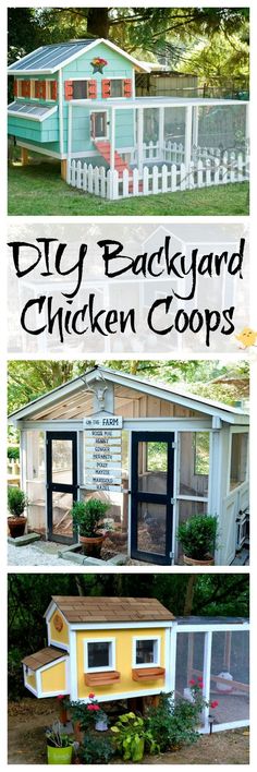 backyard chicken coops with the words diy backyard chicken coops written on it