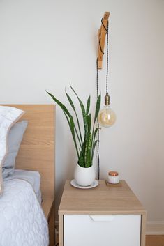 a plant in a white pot sitting on a nightstand next to a bed and lamp