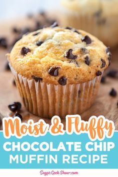 a muffin with chocolate chips on top and the words, most & fluffy chocolate chip muffin recipe