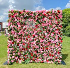 a large pink and red flowered wall in the grass