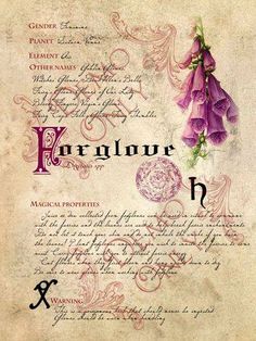 https://www.facebook.com/theenchantedhollow Witchy Herbs, Etiquette Vintage