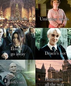 harry potter and hermione's hogwarts are the most famous characters