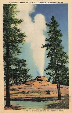 Postcard Castle Geyser Yellowstone National Park Wyoming  | eBay Vintage Yellowstone, National Geographic Photography, Vintage Postcards Travel, Western Artwork, National Park Photos, Scenic View, Vintage Poster Art