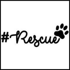 a black and white photo with the word rescue written in cursive writing on it