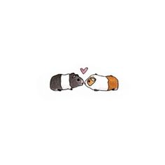 two guinea pigs kissing each other with hearts on their backs in the middle of a white background