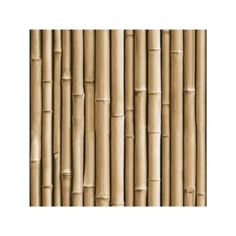 an image of a bamboo wallpaper pattern