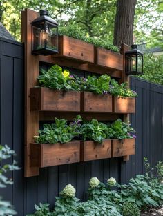 a wooden shelf with plants growing on it