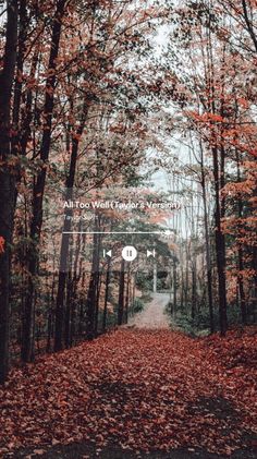 an empty road surrounded by trees with red leaves on the ground and fallen leaves all around