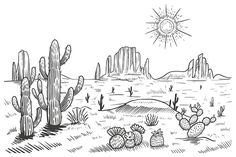 the desert with cacti and cactus plants in black and white, on a sunny day