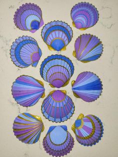 several purple and blue seashells are arranged in a circle on a white surface