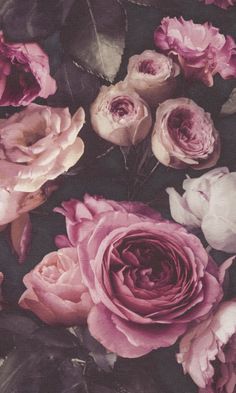 vintage floral wallpaper Floral Powder Room, Dark Flowers Wallpaper, Bold Floral Wallpaper, Freedom Aesthetic, Moody Rooms, Peonies Background, Pink And Black Wallpaper, Moody Wallpaper, Moody Florals