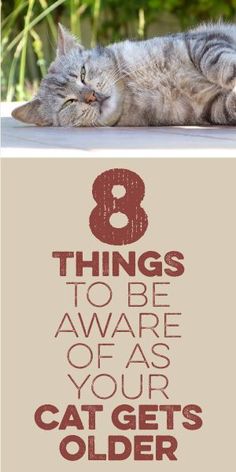 a cat laying on top of a table next to a sign that says 8 things to be aware of as your cat gets older