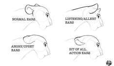 how to draw an elephant's head with different facial shapes and hair colors for each animal