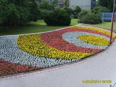 a clock made out of flowers on the side of a road with trees in the background