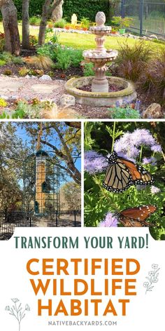 the front yard and back yard of a home with text overlay that reads transform your yard certified wildlife habitat