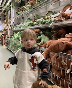 a little boy that is standing in front of stuffed animals