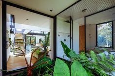 the inside of a house with lots of plants