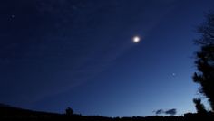 the moon and venus are visible in the night sky above some pine trees with no leaves on them