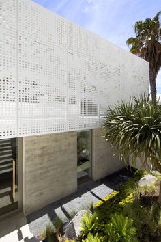 an exterior view of a house with white perfored walls and palm trees in the foreground