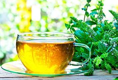 a glass cup filled with green tea sitting on top of a wooden table next to plants