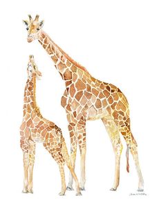 two giraffes standing next to each other in front of a white background