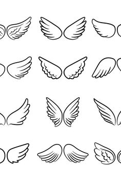 different types of wings in black and white, each with an individual wing on the left side