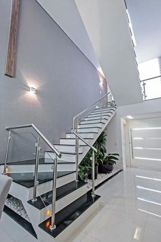 there is a staircase in the house with glass railings on each handrail and plants at the bottom