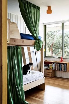 a cat sitting on top of a bunk bed in a room with wooden floors and green curtains