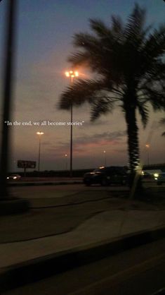 palm trees and street lights at dusk with the words in the end, we are all become stories