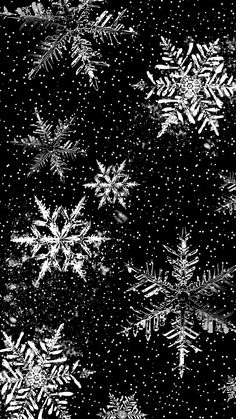 black and white snowflakes are reflected in the water