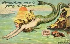 an old children's book cover with a mermaid swimming in the ocean