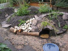 a garden with rocks and wood in it