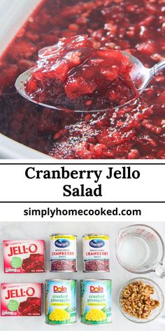 cranberry jello salad with yogurt and granola on the side