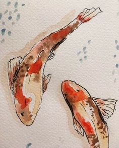 two orange and white koi fish swimming in water