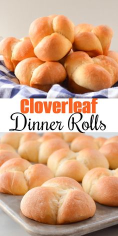 several different types of bread rolls on a baking sheet with text overlay that reads, cloverbeat dinner rolls