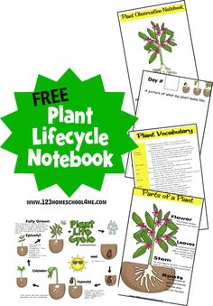 the plant life cycle notebook is shown with instructions and pictures to help students understand what plants are