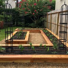 an outdoor garden with various plants in the center and several birdcages on each side