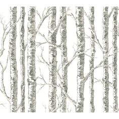 a drawing of trees with no leaves on them