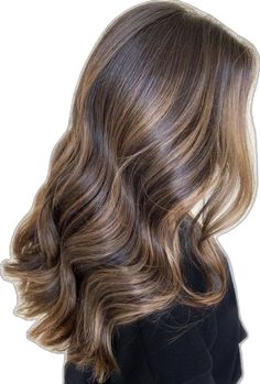 Rambut Brunette, Honey Brown Hair, Brown Hair Looks, Brown Hair Inspo, Brunette Hair With Highlights, Brunette Balayage Hair, Honey Hair, Balayage Brunette