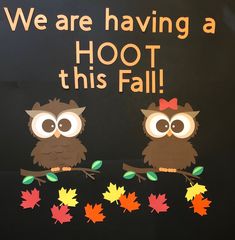 two owls are sitting on a branch with fall leaves and the words we are having a hoot this fall